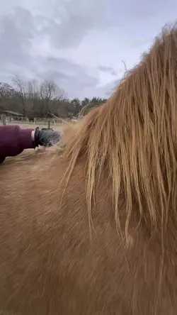 CUTEST PONY 🤞🥹💘