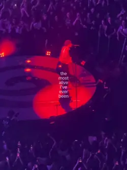 THE MOST ALIVE