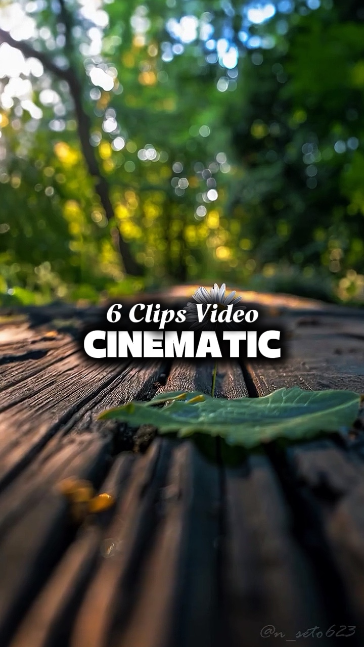 6 Clips Video