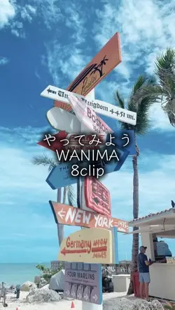 やってみよう WANIMA