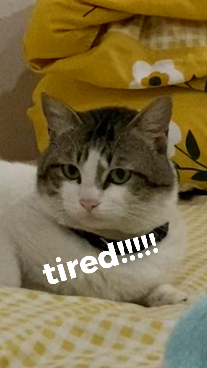 Im so tired