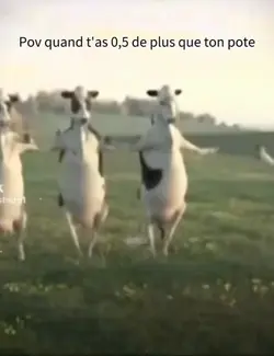Quand t'as o,5