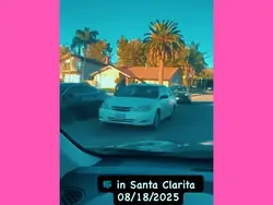 ICE Santa clarita ca