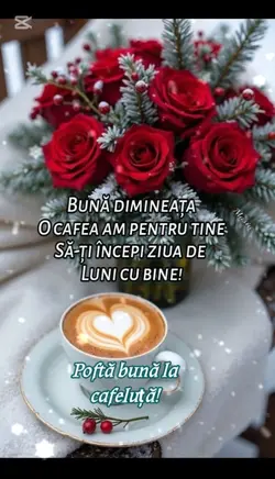 ID7898385561