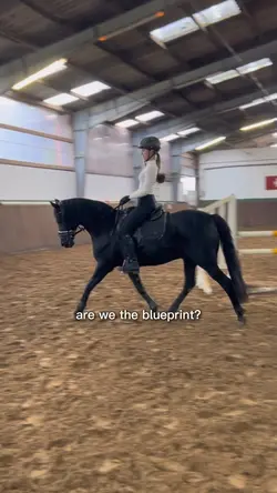 Are we the blueprint