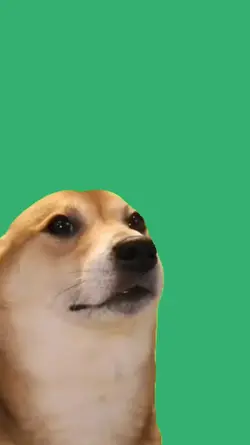 dancing deal pup
