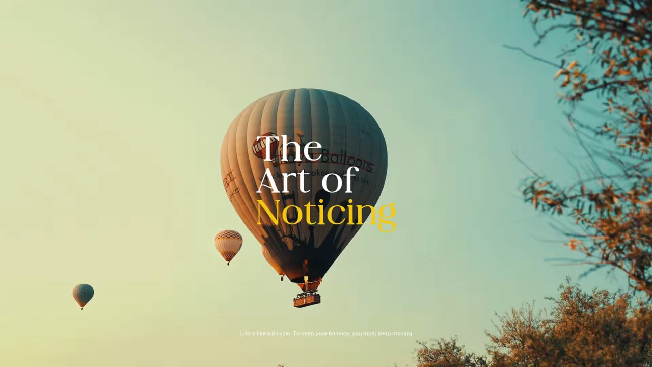 art of noticing