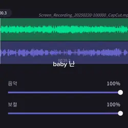 보컬 리무버