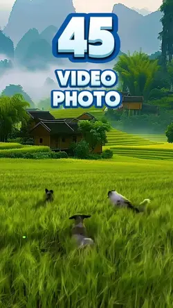 45 video or photo
