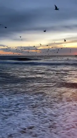 SLOWMOTION TEMPLATE