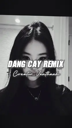 ĐẮNG CAY REMIX