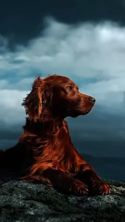 Cinematic 
