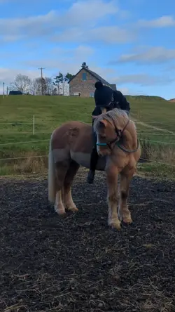 Everywhere everythin