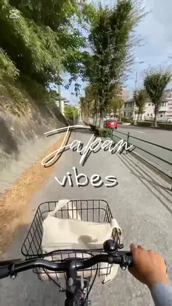 JAPAN VIBES 