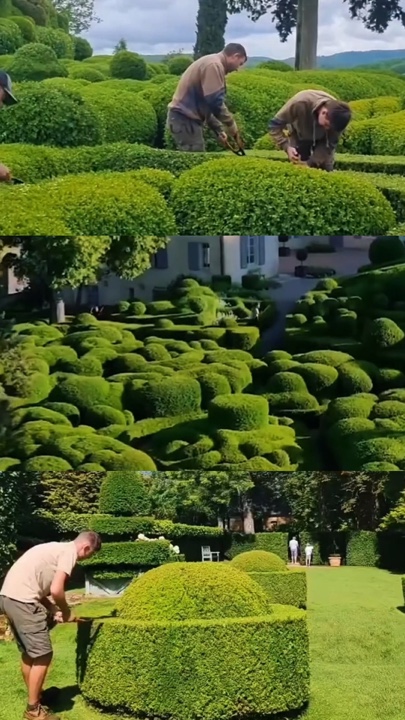 Gardening