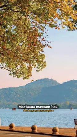 Dil hai TumHara 