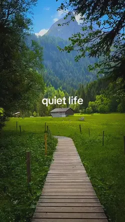 quiet life