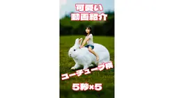 5動画ユーチューブ横サイズ