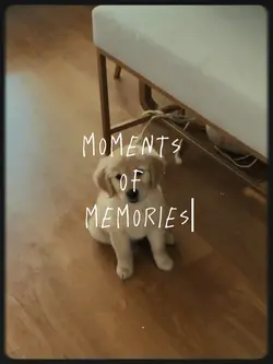 moments of memories