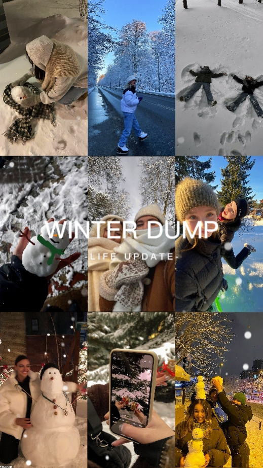Winter-Dump