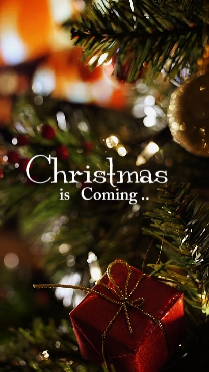 Navidad 
