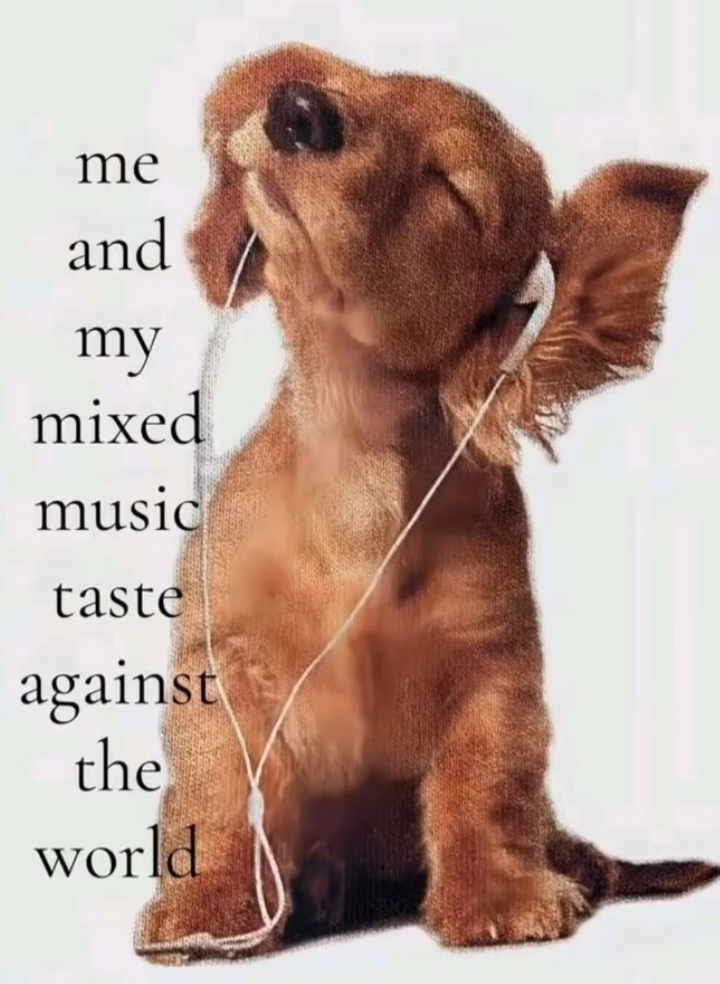 mixedmusictaste..