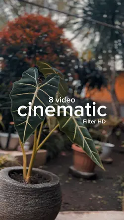 Cinematic 8 Video