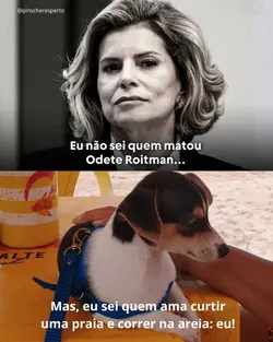 Pingo e Roitman 