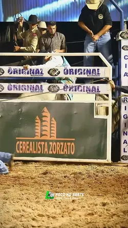Rodeio modao