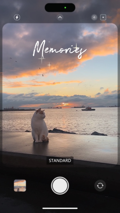 Memórias de animais de estimação