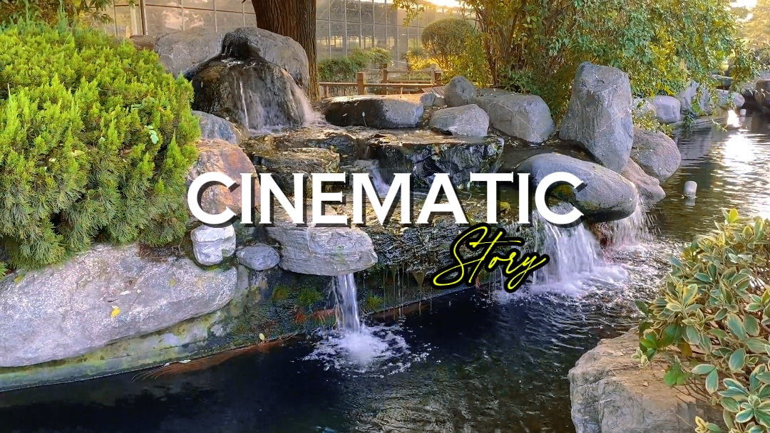 CINEMATIC Story