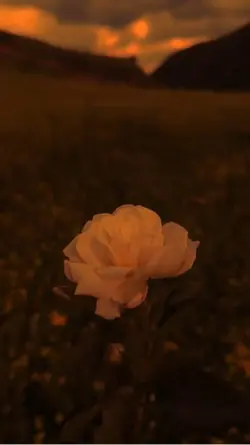 ..💔