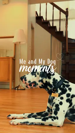 My Dog Moments