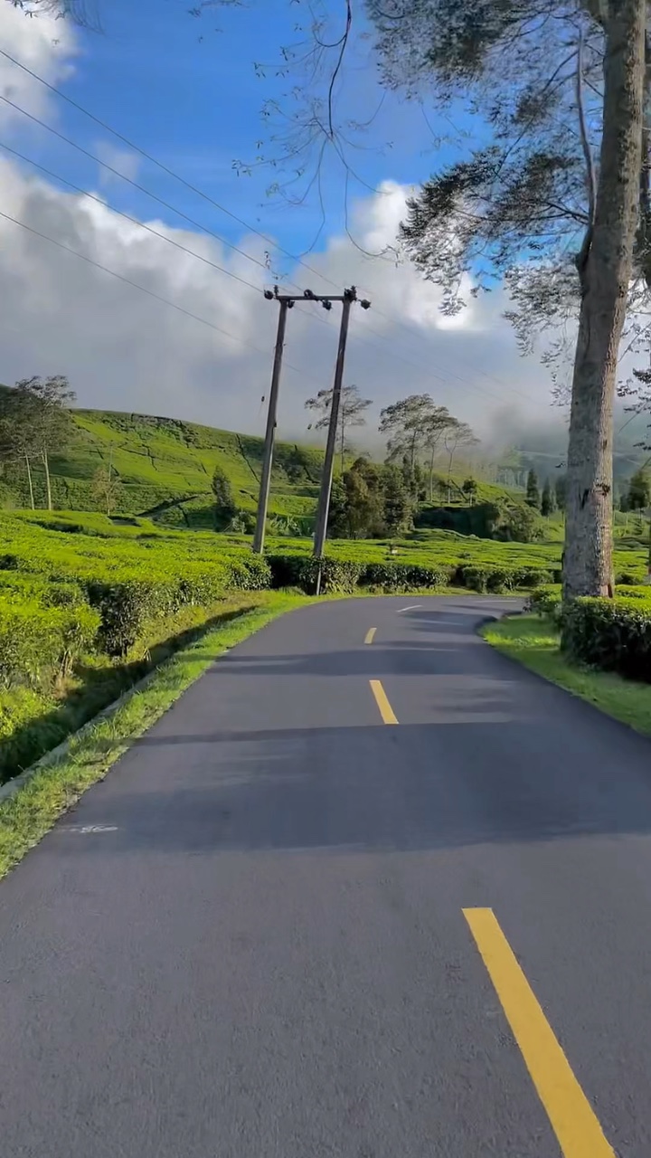 2 filtro de video cerah