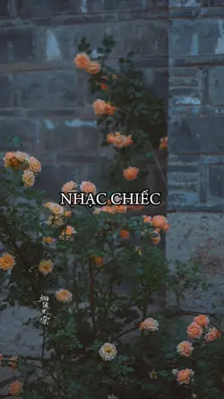 BEAT 2 ẢNH 