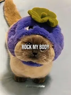 Rock my body