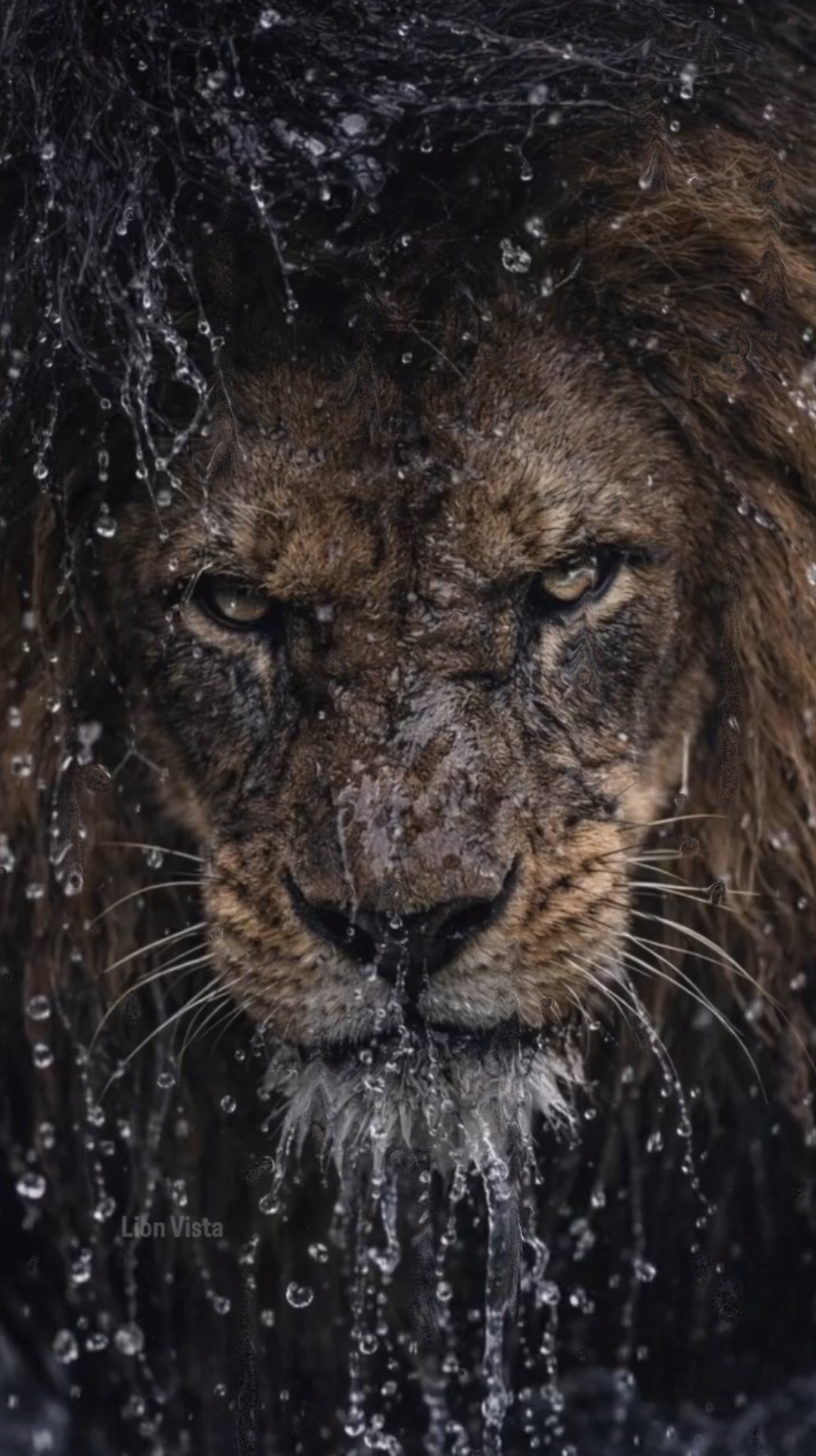 lion water ai