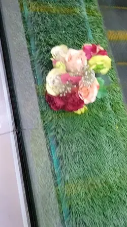 Drakor seru
