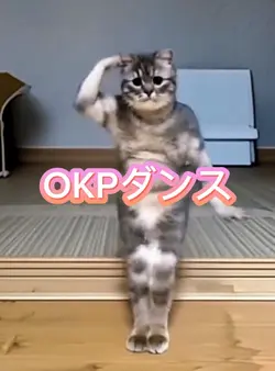 OKPダンス