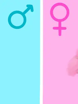 my 자캐들의 성별 체인지