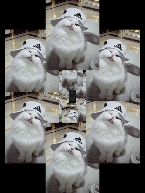 new edit