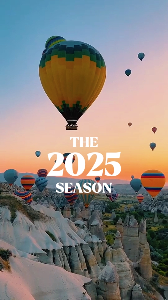 2025 özeti