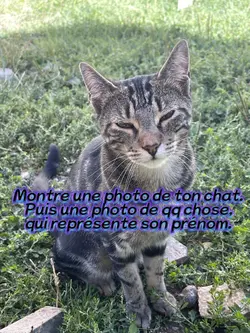 Quel est son prénom?