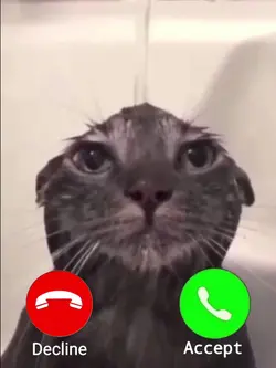 calling meme