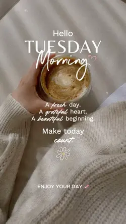 Hello Tuesday 🤍