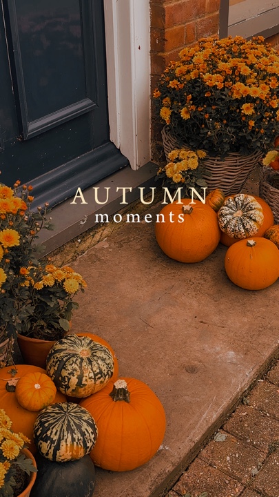 Autumn moments 🍂