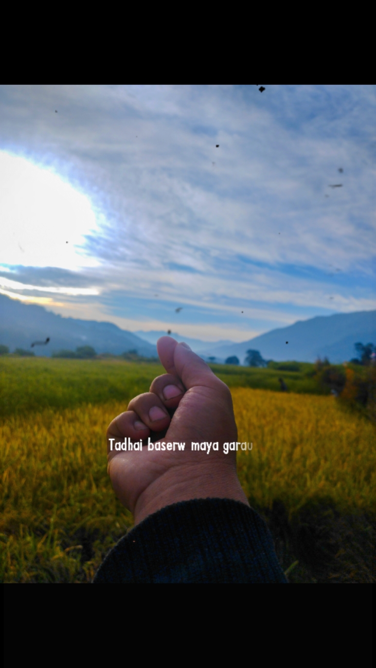 Tadhai baserw maya 