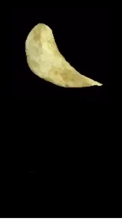 Freezing noodles