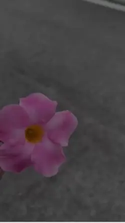 Gott hört gespräche 