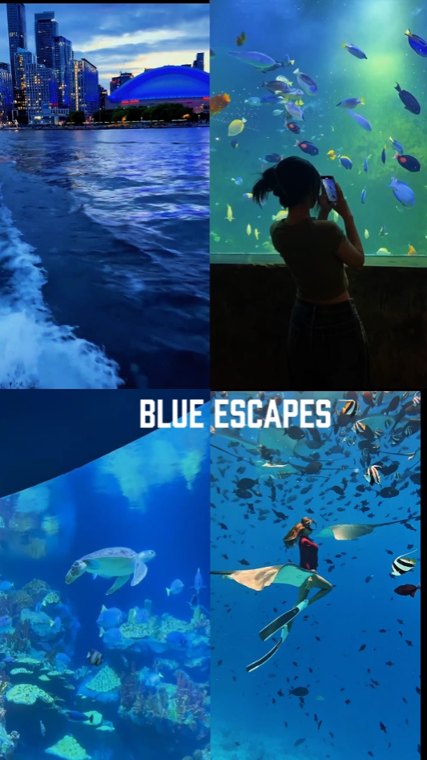 Blue Escapes